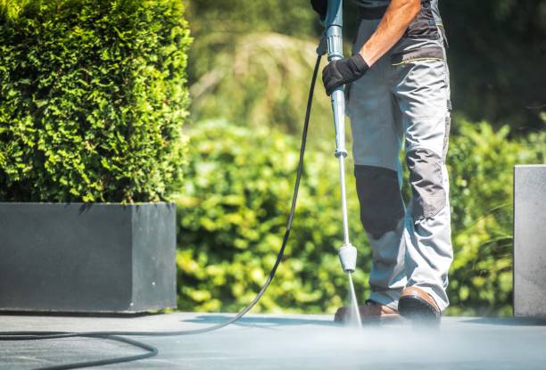 Best House Exterior Washing  in Rockville, MN